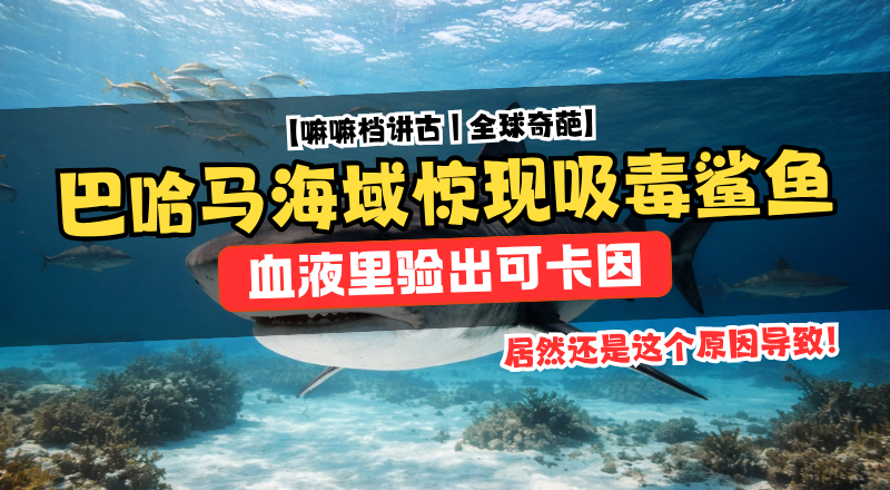  毒贩丢弃毒品入海引发鲨鱼异常行为，或有三分之一受影响！