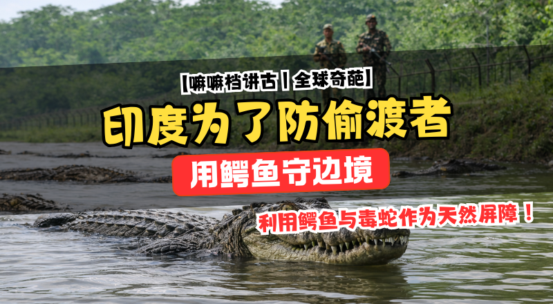 印度边界连鳄鱼都上场？官方研究“动物防线”震惊网络!